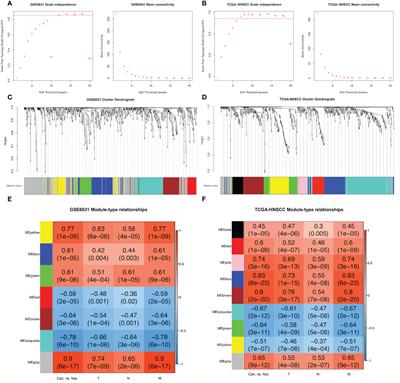 MYCT1 Inhibits the Adhesion and Migration of Laryngeal Cancer Cells Potentially Through Repressing Collagen VI